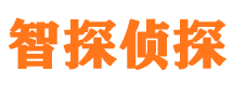 大田市调查公司